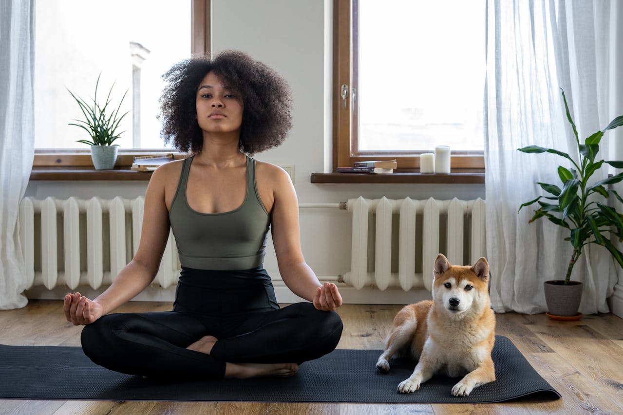 Večernja meditacija